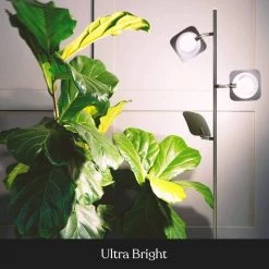 Tree 60 in. Black LED Floor Lamp with Dimmable and Adjustable Panels by Brightech -Brightech Sales black brightech floor lamps yt uhyz 7by5 1f 1000