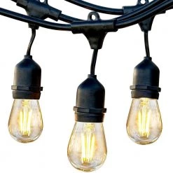 Indoor/Outdoor 48 ft. Plug-In Ambience Pro Edison LED Edison Bulb String Lights, Black (3-Pack) by Brightech