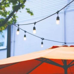 Indoor/Outdoor 48 ft. Plug-In Ambience Pro Edison LED Edison Bulb String Lights, Black (3-Pack) by Brightech -Brightech Sales black brightech string lights 3xamb2w48sw fa 1000