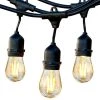 Ambience Pro Outdoor 48 ft. Plug-in LED 2-Watt Edison S14 Bulb Waterproof Hanging String Light 2500k by Brightech -Brightech Sales black brightech string lights amb 2w 48 ww 64 1000