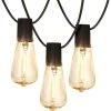 Ambience Pro Outdoor 26 ft. 1-Watt Plug-in LED E17 Edison Bulb Non-Hanging String Lights by Brightech -Brightech Sales black brightech string lights amb e17 st38 64 1000