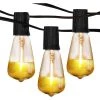 Ambience Pro Outdoor 26 ft. 1-Watt Plug-in LED Gold Tipped E17 Edison Bulb Non-Hanging String Lights by Brightech -Brightech Sales black brightech string lights amb gld e17 1w 64 1000