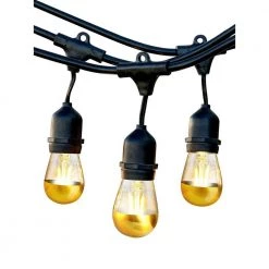 Ambience Pro Outdoor 48 ft. 2-Watt Plug-in LED Gold Tipped S14 Edison Bulb Hanging String Lights by Brightech