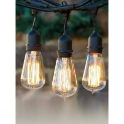 Ambience Pro Outdoor 48 ft. L Plug-in Incandescent 40-Watt S19 Edison Bulb Hanging String Light 3000K by Brightech -Brightech Sales black brightech string lights ambprohangingbk 1f 1000