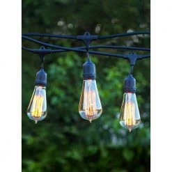 Ambience Pro Outdoor 48 ft. L Plug-in Incandescent 40-Watt S19 Edison Bulb Hanging String Light 3000K by Brightech -Brightech Sales black brightech string lights ambprohangingbk 4f 1000