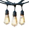 Ambience Pro Outdoor 48 ft. L Plug-in Incandescent 40-Watt S19 Edison Bulb Hanging String Light 3000K by Brightech 1 Ambience Pro Outdoor 48 ft. L Plug-in Incandescent 40-Watt S19 Edison Bulb Hanging String Light 3000K by Brightech -Brightech Sales black brightech string lights ambprohangingbk 64 1000