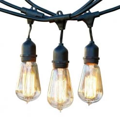 Ambience Pro Outdoor 48 ft. L Plug-in Incandescent 40-Watt S19 Edison Bulb Hanging String Light 3000K by Brightech