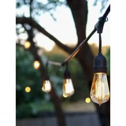 Ambience Pro Outdoor 48 ft. L Plug-in Incandescent 40-Watt S19 Edison Bulb Hanging String Light 3000K by Brightech -Brightech Sales black brightech string lights ambprohangingbk c3 1000