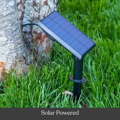 Ambience Pro Outdoor 27 ft. Plug-in LED 1-Watt Retro Edison G40 Bulb Globe Lights Filament String Light (3000K) by Brightech -Brightech Sales black brightech string lights bp tq2c 1qod 4f 1000