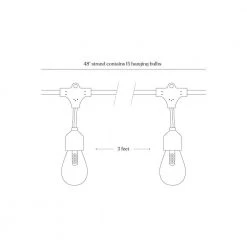 Ambience Pro Outdoor 48 ft. L Solar LED 1-Watt S14 Edison Bulb Hanging String Light 3000K by Brightech -Brightech Sales black brightech string lights slr 48hg sw 76 1000