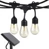 Ambience Pro Outdoor 48 ft. L Solar LED 1-Watt S14 Edison Bulb Hanging String Light 2700K by Brightech -Brightech Sales black brightech string lights slr 48hg ww 64 1000