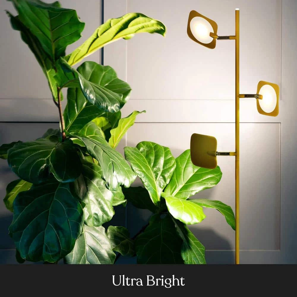 Tree 60 in. Brass LED Floor Lamp with Dimmable and Adjustable Panels by Brightech 6 Tree 60 in. Brass LED Floor Lamp with Dimmable and Adjustable Panels by Brightech - Image 4