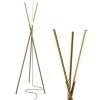 Stix 60 in. Brass LED Tripod Floor Lamp with 3 Dimmable Lights by Brightech 2 Stix 60 in. Brass LED Tripod Floor Lamp with 3 Dimmable Lights by Brightech -Brightech Sales brass brightech floor lamps fl stx brs 64 1000