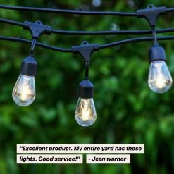 2-Watt S14 Dimmable LED Edison Light Bulbs Neutral White 3000K (15-Pack) by Brightech -Brightech Sales brightech edison bulbs amb 15pk nw 1f 1000