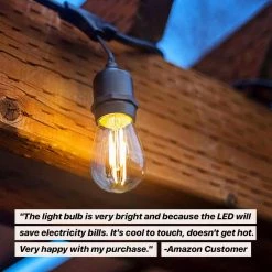 2-Watt S14 Dimmable LED Edison Light Bulbs Neutral White 3000K (15-Pack) by Brightech -Brightech Sales brightech edison bulbs amb 15pk nw 44 1000