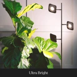 Tree 60 in.Bronze LED Floor Lamp with Dimmable and Adjustable Panels by Brightech -Brightech Sales bronze brightech floor lamps jw opp9 aey1 76 1000