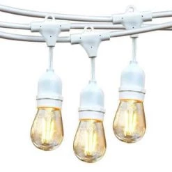 Ambience Pro Outdoor 48 ft. L White Plug-in LED 2-Watt S14 Edison Bulb Hanging String Light 2700K by Brightech